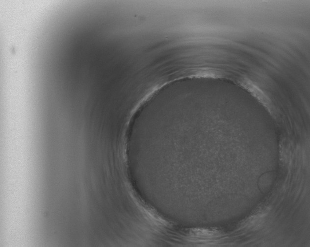 X0000072500347200607290111