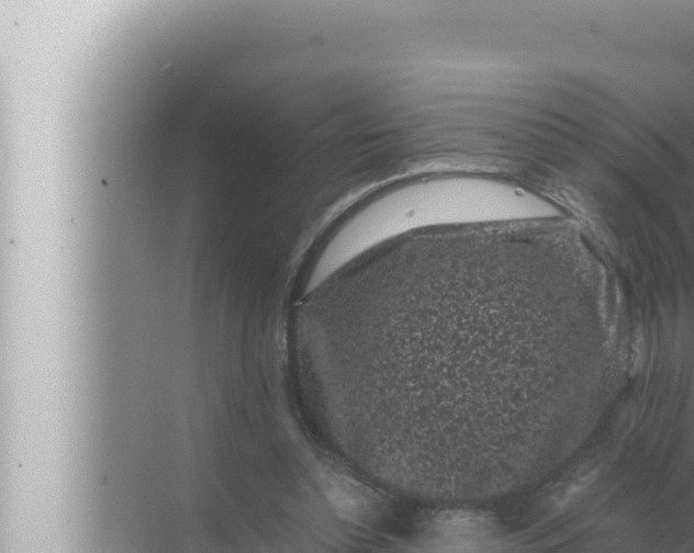 X0000072500348200607290111