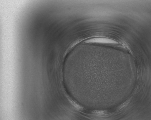 X0000072500349200607290111