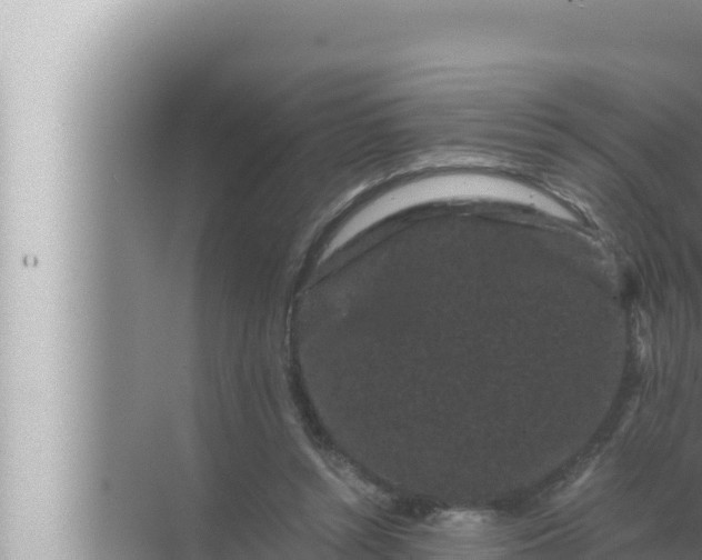 X0000072500352200607290111