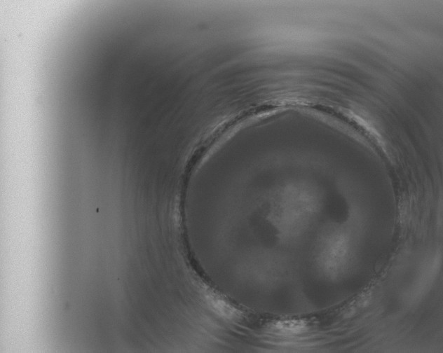 X0000072500353200607290111