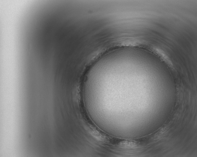 X0000072500354200607290111