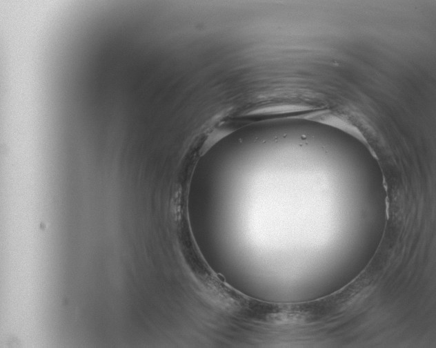 X0000072500356200607290111