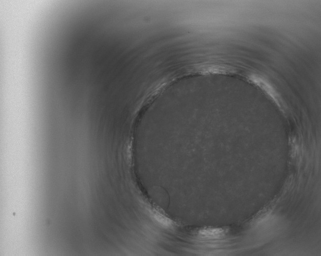 X0000072500357200607290111