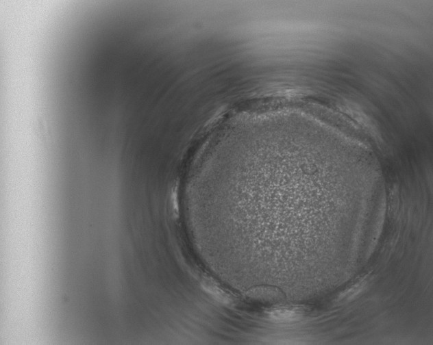 X0000072500358200607290111