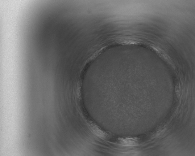 X0000072500359200607290112