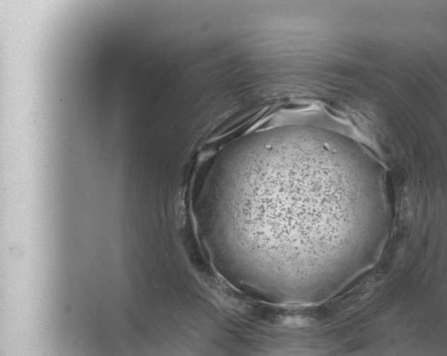 X0000072500360200607290112