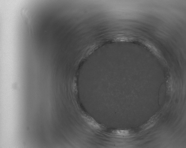 X0000072500361200607290112