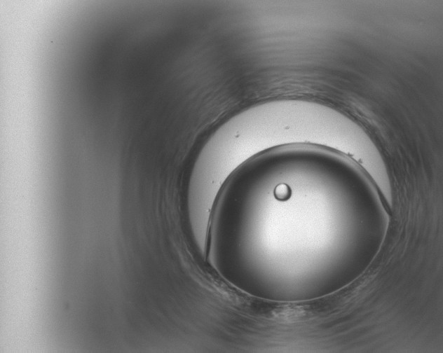 X0000072500362200607290112