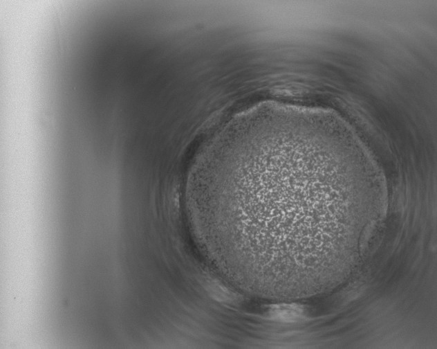 X0000072500363200607290112