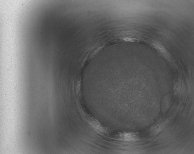 X0000072500365200607290112