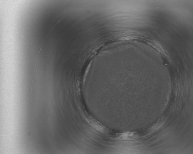 X0000072500366200607290112