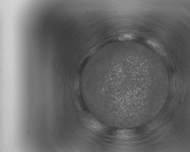 X0000072500367200607290112