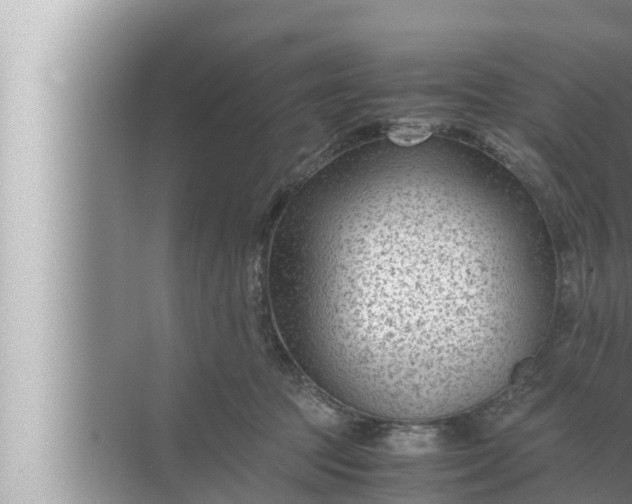 X0000072500369200607290112