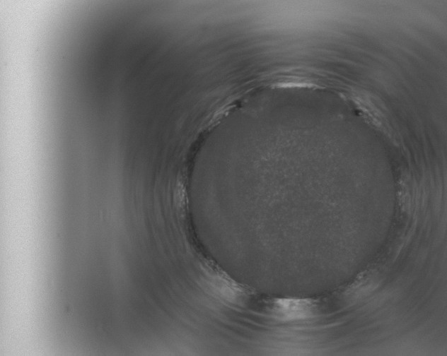 X0000072500371200607290112