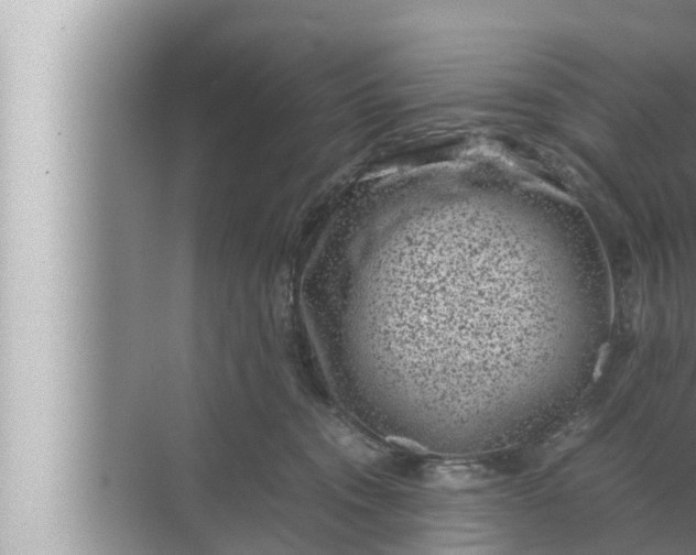 X0000072500372200607290112