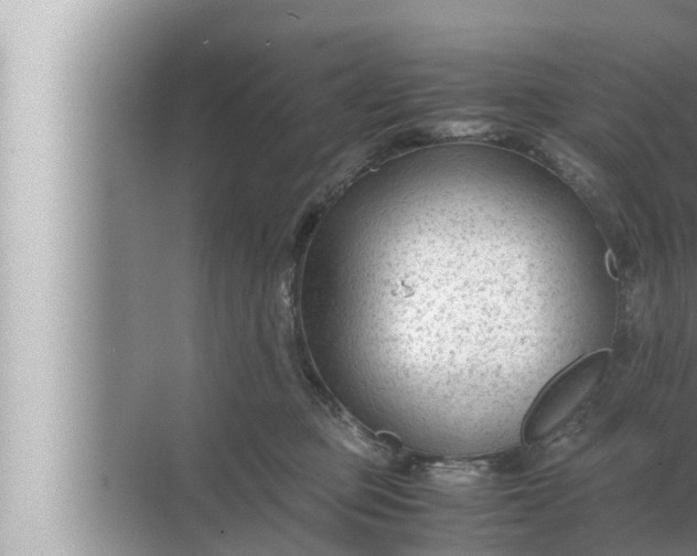 X0000072500373200607290112