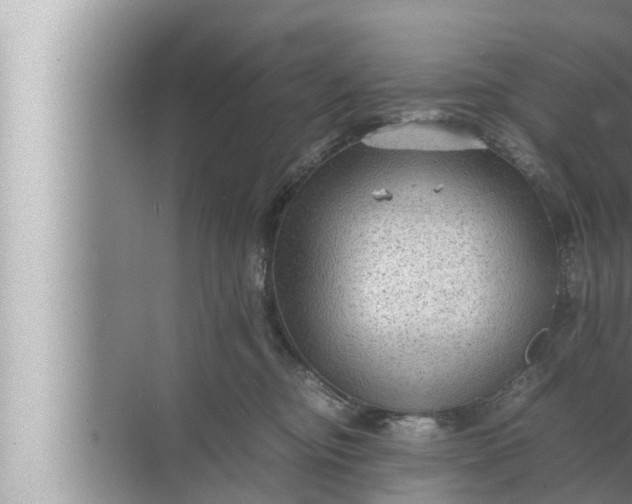 X0000072500374200607290112