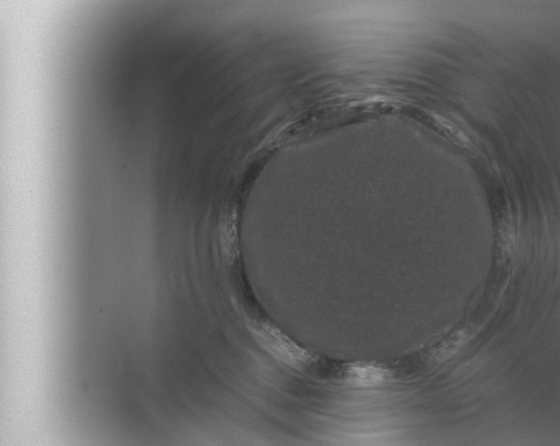 X0000072500376200607290112