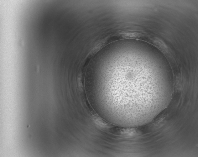 X0000072500377200607290112