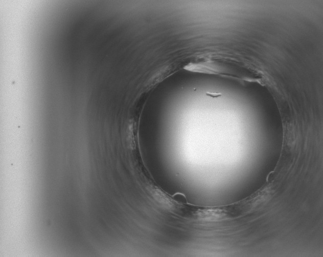 X0000072500378200607290112