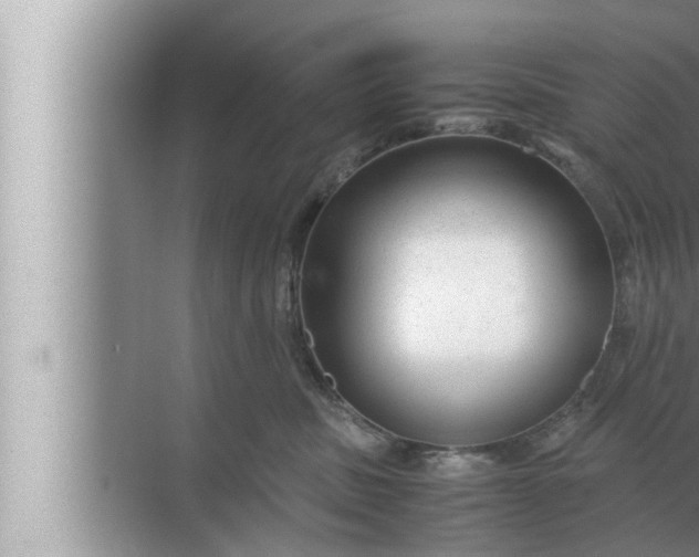 X0000072500379200607290112