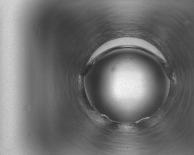 X0000072500380200607290112