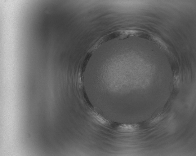 X0000072500381200607290112