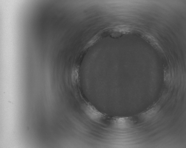 X0000072500382200607290112