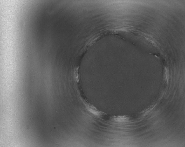 X0000072500383200607290112