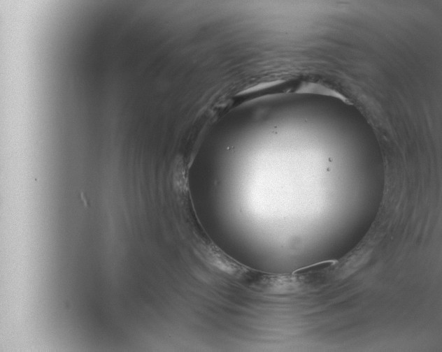 X0000072500384200607290112