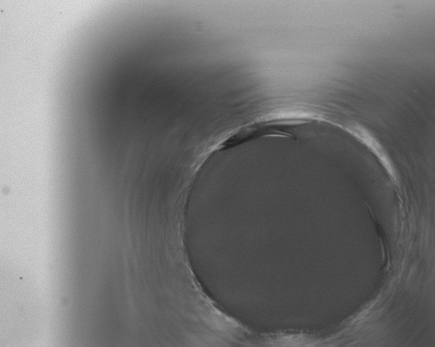 X0000072500385200607290111