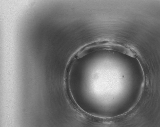 X0000072500388200607290111