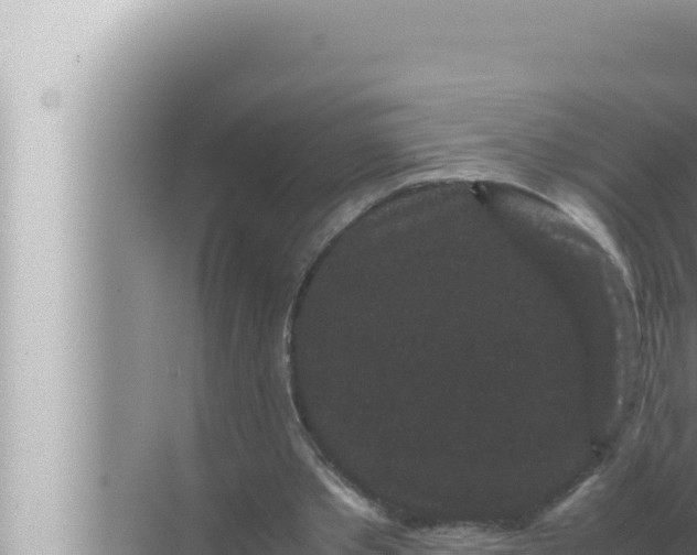 X0000072500389200607290111