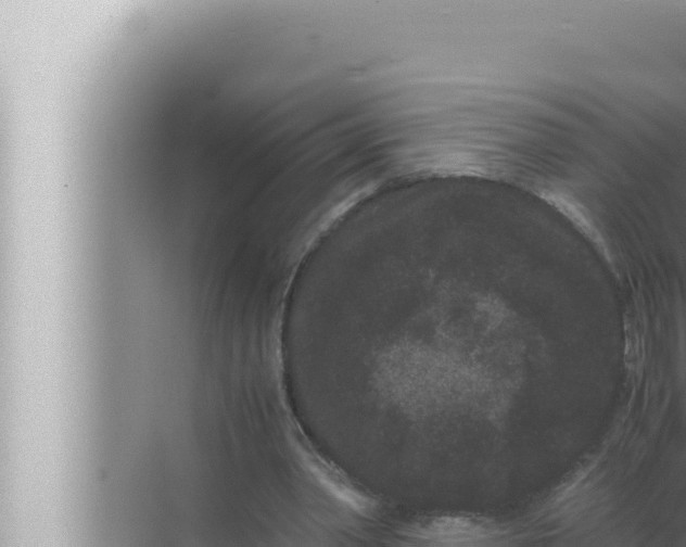 X0000072500390200607290111