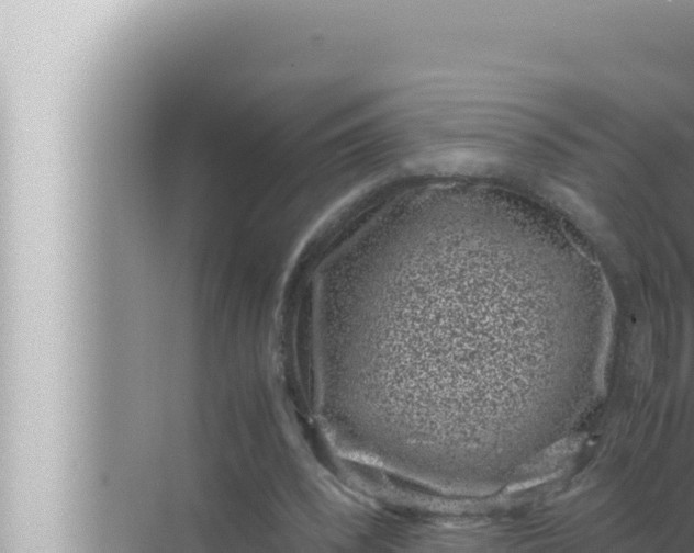 X0000072500392200607290111