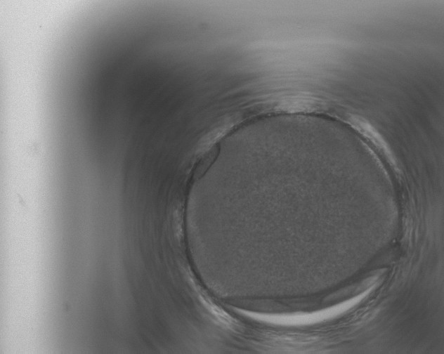 X0000072500393200607290111