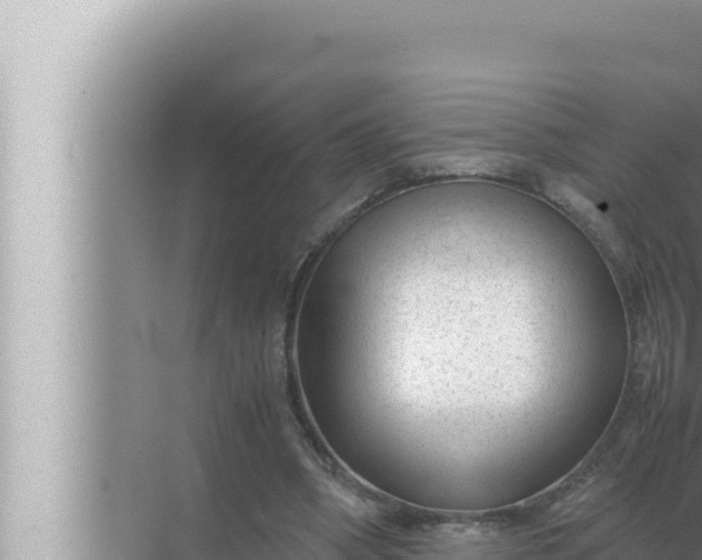 X0000072500394200607290111