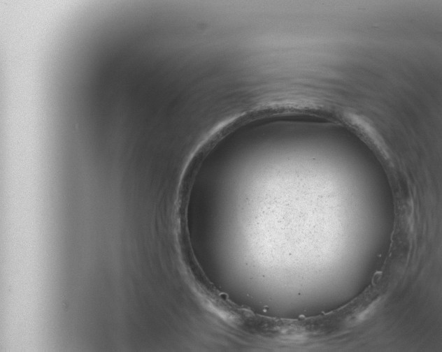 X0000072500395200607290111