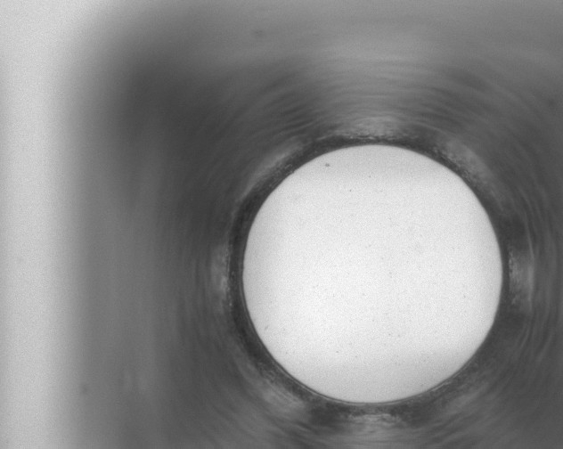 X0000072500396200607290111