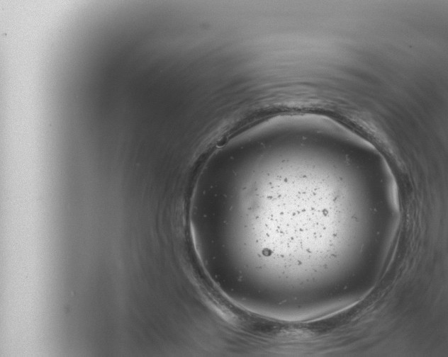 X0000072500397200607290111