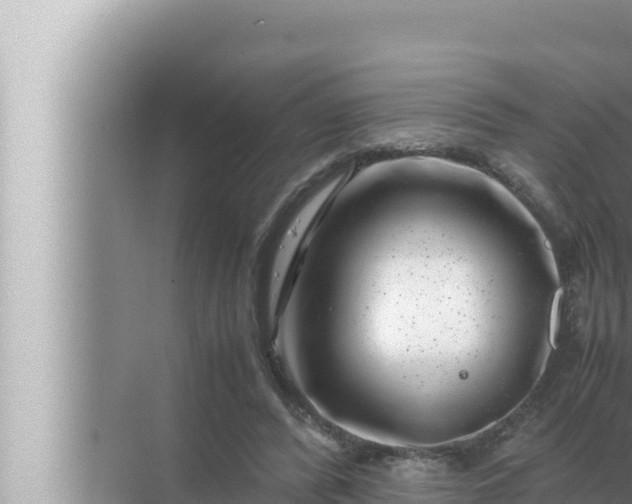 X0000072500400200607290111