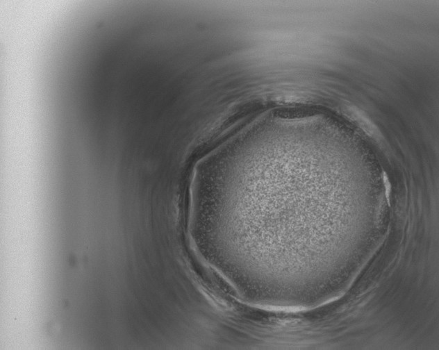 X0000072500401200607290111