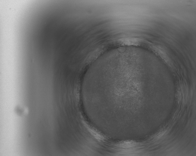 X0000072500402200607290111