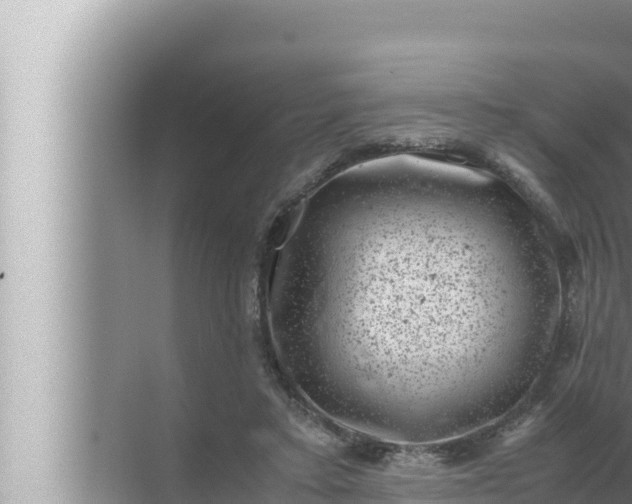 X0000072500403200607290111