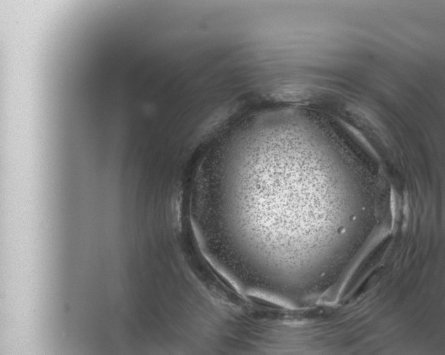 X0000072500404200607290111