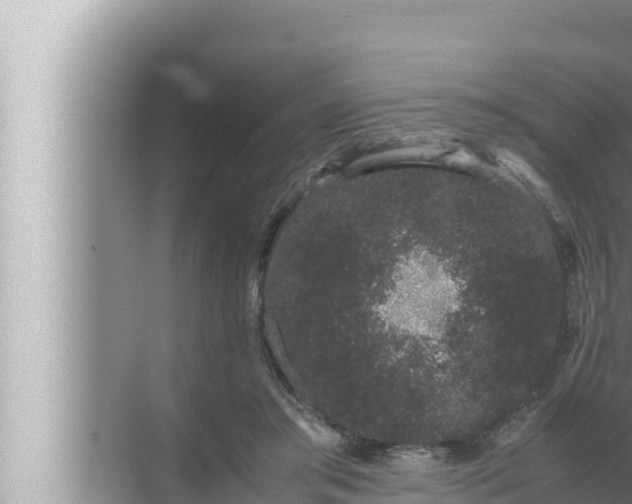 X0000072500405200607290111