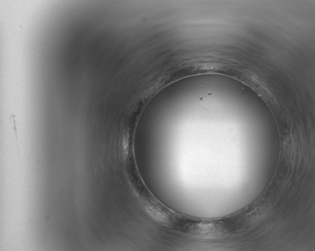 X0000072500406200607290111