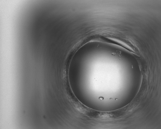 X0000072500407200607290111