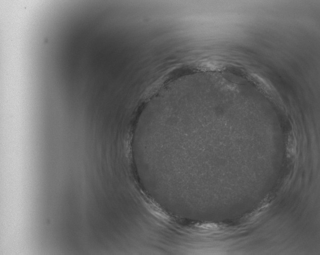 X0000072500409200607290111